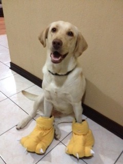 Con patas de "moustro"!!